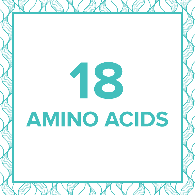 AMINO ACIDS: THE BUILDING BLOCKS OF OUR BODIES