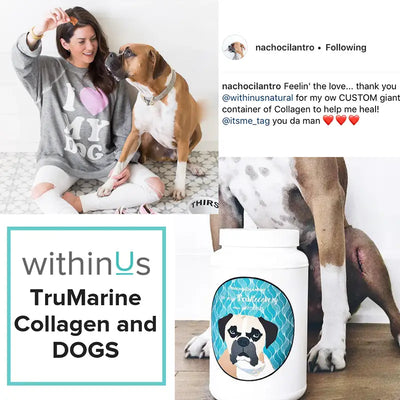 Your Loyal Canine Companion & withinUs TruMarine Collagen